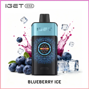 IGET One Blueberry Ice 12000 puffs