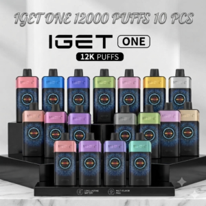 IGET One 12000 Puffs 10PCS Disposable Vape