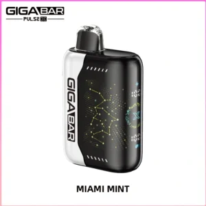 GIGA BAR PULSE X 25,000 Puffs Miami Mint